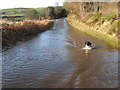 Flooded road