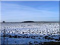 Snowy fields, East Barsham