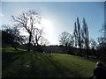 View of houses in Forest Hill from Horniman Gardens