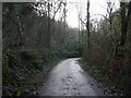 Curve in the lane in the Coombe Valley