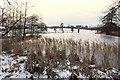 TL3351 : Frozen ornamental lake, Wimpole Hall Park by Rob Noble