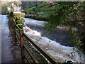 Weir on the Castrogi Brook in the Coombe Valley