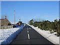 NT8567 : A1107, Coldingham Moor by Richard Webb