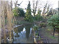 View of the stream in Dulwich Park from the footbridge #2