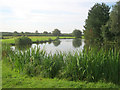 Duffins Fishery - 2