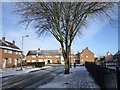 Quilter Avenue towards Rokerby Avenue, Hull