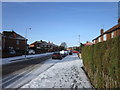 Rokerby Avenue, Hull