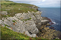 SY9876 : Cliffs at Seacombe Quarry, Isle of Purbeck by Phil Champion