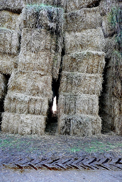 Hay storage at Ettington Park
