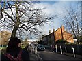 View up Pond Cottages from College Road