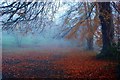 Yeovil: Misty Autumn Evening