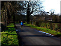 On the Loughshore Trail