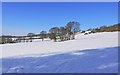 Snowy fields south-east of Heddon on the Wall