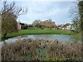 Pond and thatched roof at Manhoodend Farm