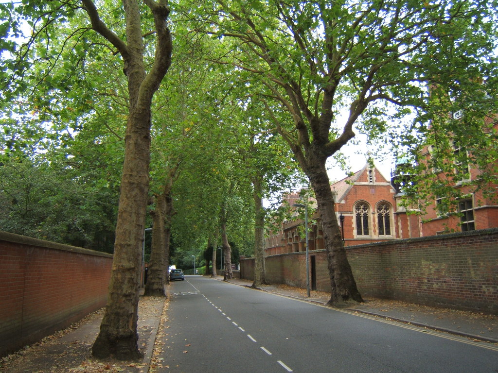 Sidgwick Avenue, Cambridge © Barbara Carr ccbysa/2.0 Geograph