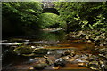 Bridge over Tarras Water