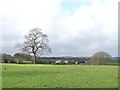 Farmland with trees, north of North Lane