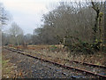 SS9086 : Disused railway near Llangeinor and Bettws by eswales