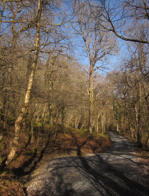 Path in Yarner Wood