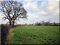 Footpath to Gypsy Lane, Mollington