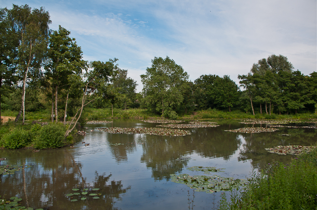 Riverside Garden Park C Ian Capper Cc By Sa 2 0 Geograph Britain And Ireland