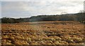 Farmland near Park Farm