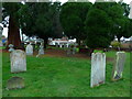 Parish Church of St Andrew, Cobham, Graveyard