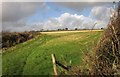 Field near Blackawton