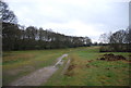 Footpath, Chorleywood Common