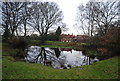 Pond, Chorleywood Common