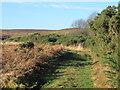 Path east of Black Hill