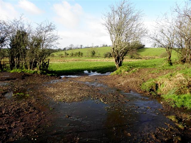 Muddy area, Edergole © Kenneth Allen cc-by-sa/2.0 :: Geograph Britain ...