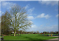 Phoenix Park at Blakenhall, Wolverhampton