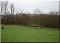 Towards the entrance to Hutcliffe Wood Crematorium