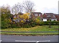 Houses on Plover Crescent