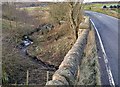 New Bridge across the Blackleach Brook