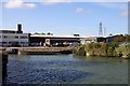 Looking across Osney Pool towards Osney Mead