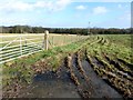 Muddy path near Upper Ashgate Farm