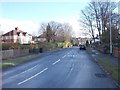 Henconner Avenue - viewed from Henconner Drive