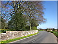 Road beside Alstonby Hall