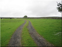 NY7590 : Track towards Highfield Farm by Les Hull