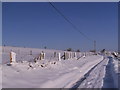 Snow tracks of 4x4s