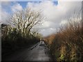SX7751 : Lane near Stanborough by Derek Harper