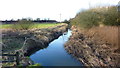 Brook near Pennington Flash