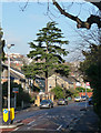 Conifer, Underhill Road