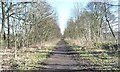 Trans Pennine Trail, east of House Carr Lane