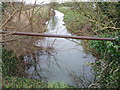 Part of Oxleaze Reen near Llanwern