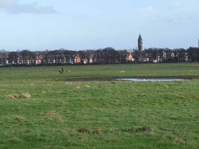 Newcastle Town Moor © Oliver Dixon cc-by-sa/2.0 :: Geograph Britain and ...