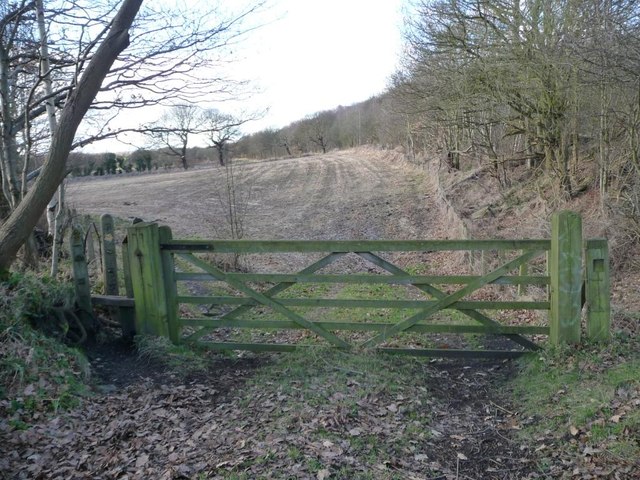 Gate and stile, at the former railway junction