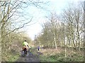 Riders and dog walkers on the trail